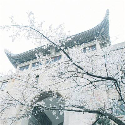 贵州大部地区出现降雪天气 当地多部门开启“抗凝保畅”工作