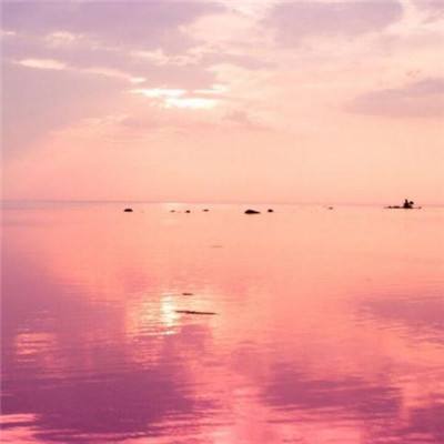 霍城 架起紫色海洋与红火日子的桥梁