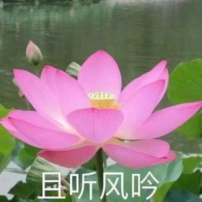 张浩任中铁第一勘察设计院党委副书记、董事，为院长人选