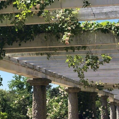 金湖公园项目仿古建筑、桥梁群（图）