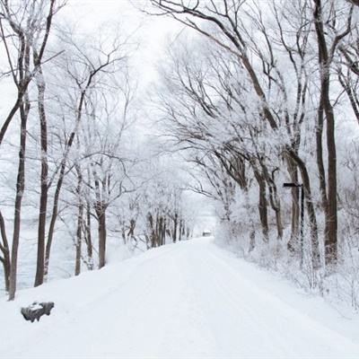闻“雪”而动，石嘴山公路人守出一个“暖冬”（图）